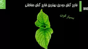 میوه هایی سالم با سم قارچ کش دودین| dodin