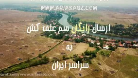 بوکتریل | buctril سم قوی خشکاننده علف های هرز