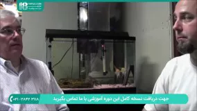 بهترین فصل برای شروع پرورش ماهی زینتی در آکواریوم