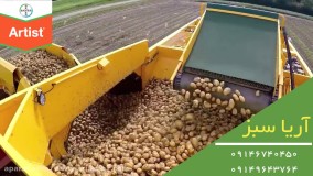 دفع قطعی علف های هرز از مزرعه سیب زمینی | آرتیست | Artist