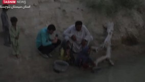 روزگار ناخوش ۴۰۰ روستای فاقد شبکه آب جنوب بلوچستان