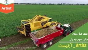 سم قوی برای ریشه کنی علف هرز سیب زمینی | Artist | سم آرتیست