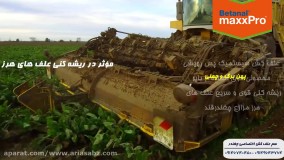 بتانال مکس پرو | betanal maxx pro قوی ترین سم ضد علف هرز چغندرقند