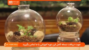 آموزش ساخت تراریوم شیشه ای ( باغ شیشه ای )