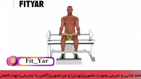 حرکت ساق پا هالتر نشسته