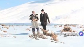 پدر خوانده گرگ‌ ها