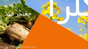 ریشه کن کردن علف های هرز نازک برگ با علف کش سوپر گالانت