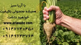 با سوپر گالانت به جنگ علف های هرز بروید | Supper Gallant