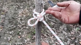 گره هایی که ، گره از کارتون باز میکنن