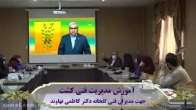 برگزاری دوره آموزشی مدیریت تولید فلفل دلمه ای در گلخانه