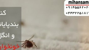 چرخه زندگی کنه‌ها چگونه است؟ | چگونه کنه ها را در تمام مراحل زندگی نابود کنیم؟