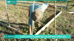 آموزش احداث گلخانه در اقلیم سرد