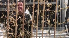 زندانی خودت نباش _ وحید کریمی