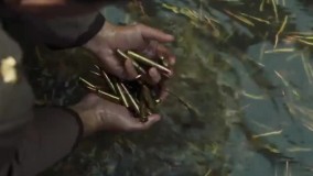 دانلود قسمت هشتم سریال خاتون