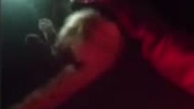 گربه‌ای که با احیای قلبی به زندگی بازگشت