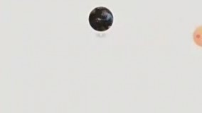 ۱۳ پناهجوی ایرانی تو مرز لیتوانی