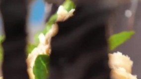 ایده های خلاقانه شکلات | آموزش طرز تهیه شکلات ساده