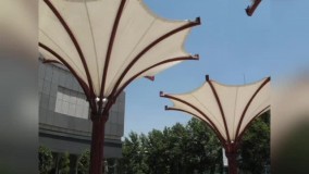 زیباترین سیایبان کششی