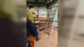 هوش حیرت‌ انگیز یک خروس برای نجات یک مرغ گرفتار