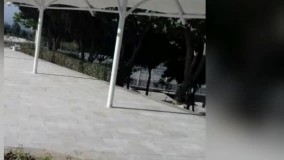 زیباترین سایبان ارامگاه