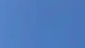 کلاغ‌ها ، پروژه گوگل را متوقف کردند