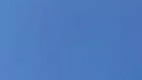 کلاغ‌ها ، پروژه گوگل را متوقف کردند