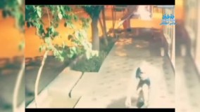 سرقت خنده‌دار به روش پت و مت در مشهد