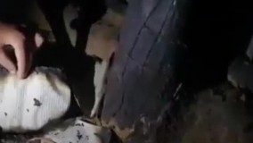 آتش زدن مسجدی در هند