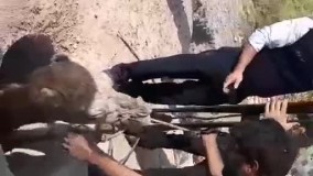 نجات یک شتر از داخل چاه به کمک  آتش نشانان