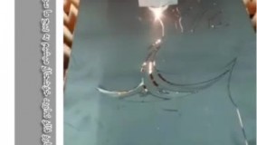 نمونه برش ليزر فلز فايبر دکوراتيو طرح درخت (ليزربرش شرق تهران)
