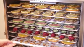 میوه خشک کن ۶ سینی تمام استیل