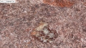 آموزش ساخت آکواریوم گیاهی-آموزش طراحی و ساخت آکواریوم گیاهی-جمع آوری سنگ