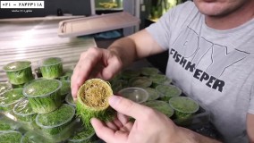 آموزش ساخت اکواریوم گیاهی در ایران-اتاق نگهداری مرجان دریایی-آکواریوم پلنت