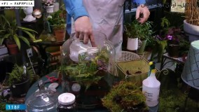 ساخت تراریوم - آموزش تراریوم -  ساخت تراریوم خزه با فلاسک فلورانس