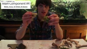 ساخت تراریوم - آموزش تراریوم با شن رنگی - ساخت تراریوم در بطری