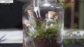 ساخت تراریوم - آموزش آسان ساخت تراریوم در ایران