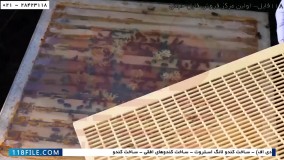پرورش زنبور عسل  - آموزش رایگان زنبورداری - جابجا کردن کندوها