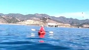 لحظه‌ای حیرت انگیز از حمله نهنگ گوژپشت به دو زن