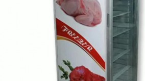 یخچال ایستاده صنایع برودتی ریماسرما