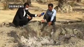 گزارش صدا و سیما از چوب حراج به نخل‌های بوشهر