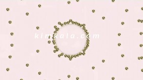 محلول پاک کننده آرایش نفیس/09120132883/بهترین محلول آرایش پاک کن