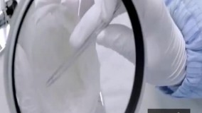 سوپ لانه پرنده ؛ کاسه‌ای ۴میلیون و ۵۰۰هزار تومان !