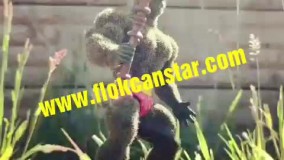 فروش مخمل / فروش چسب مخمل