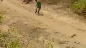 لحظه زنده‌ گیری پرهیجان یک گراز با دست خالی