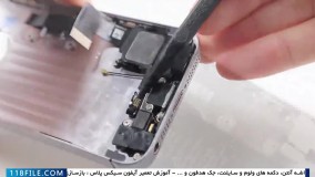 کالبد شکافی انواع آیفون