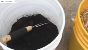 تولیدو پرورش قارچ