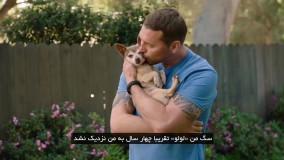 آموزش تربیت سگ در مسترکلاس برندون مک میلان