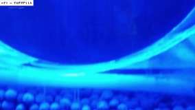 قراردادن صحیح ماهی درآکواریوم