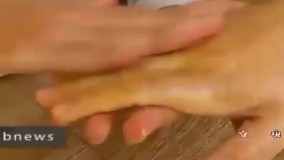 شرکت تحقیقات گیاهان دارویی بوستان یزد - رباسین - صادق دهقانی اشکذری