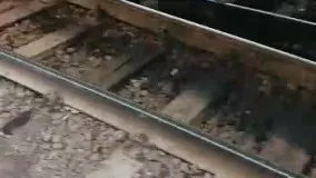 مانور قطار حادثه آفرید